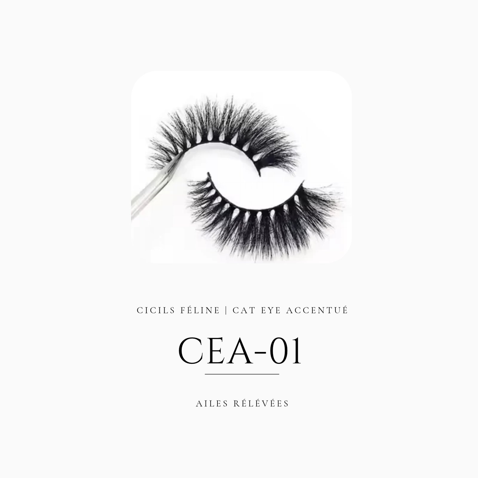 CICILS FÉLINE | CAT EYE ACCENTUÉ