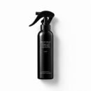 REGENT BLACK — FIXING SPRAY